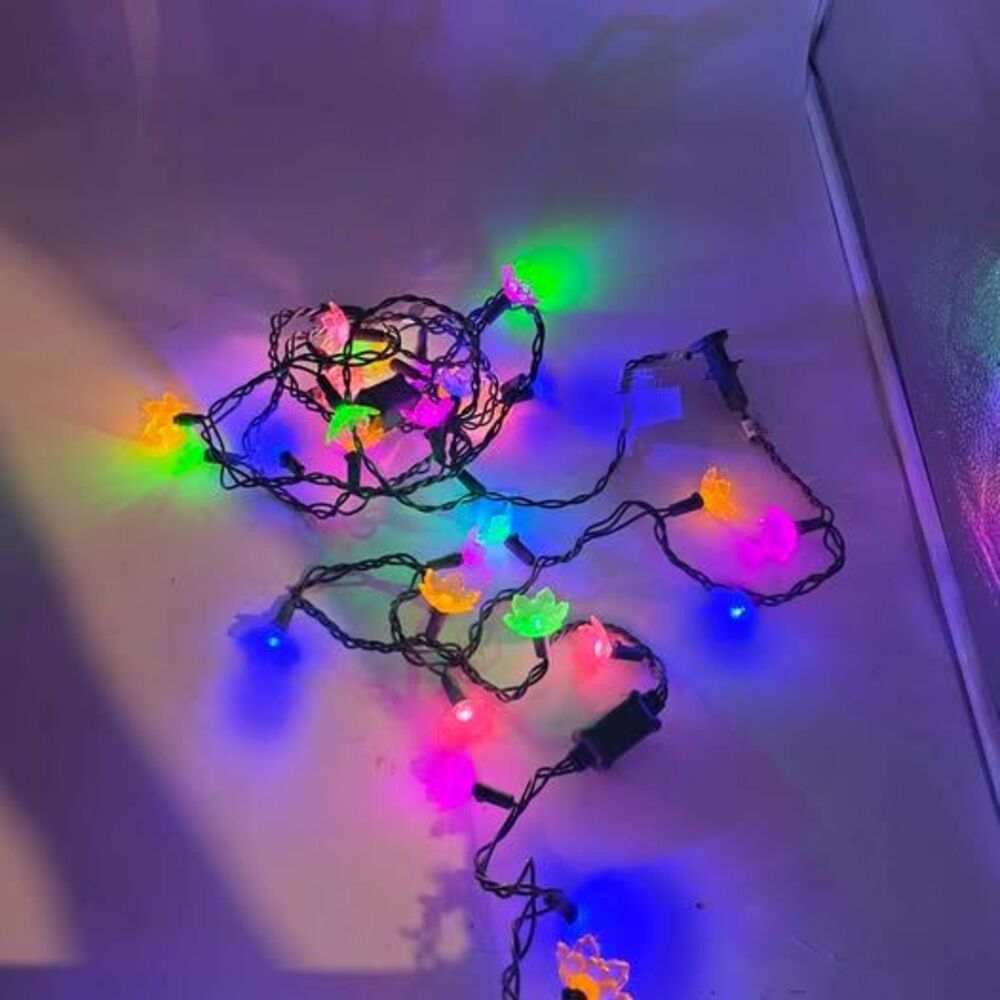 Christmas Lights "Multi Color Flowers Party Lights" 40ct Flower 21ft long 356